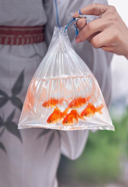 金魚袋 bagged goldfish SDXL