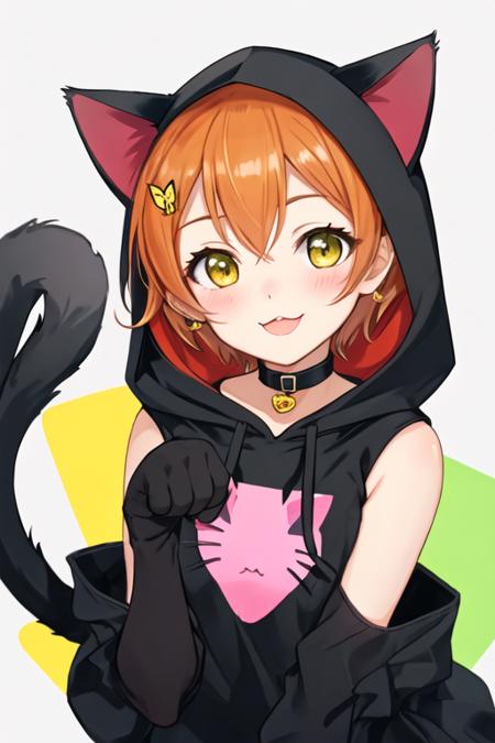 hoshizora_rin/星空凛/호시조라린 (Love Live!)版本v1.4 (ID: 266334)