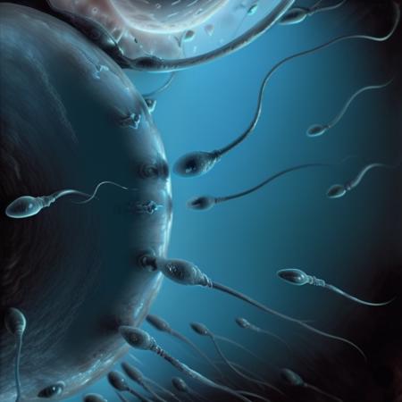 Gametes SD 1.5