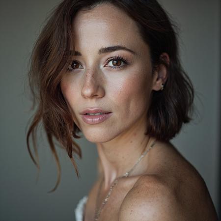 ? Karine Vanasse (QC)(Flux) ?版本v2.0 (ID: 1289177)