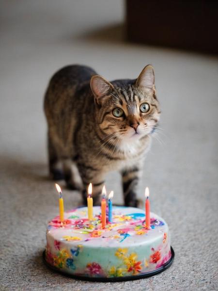 Happy Birthday!