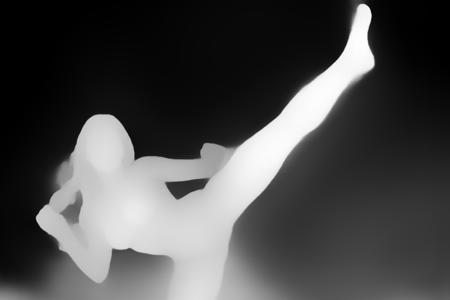 OpenPose, Martial arts