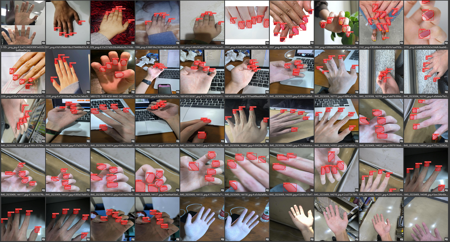 Nails Segmentation - ADetailer - (nails_seg_s_yolov8)版本v1.0 (ID: 350020)