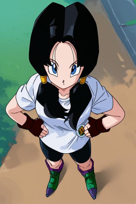Videl [2 Outfits] - Dragon Ball