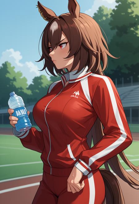 [PonyV6 XL LoCon] Sirius Symboli | Uma Musume: Pretty Derby版本v1.0 (ID: 897993)