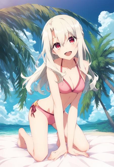 Prisma Illya Style (Fate/Kaleid liner Prisma) [Illustrious & Pony & SD1.5]