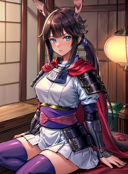 Heroine (Pokémon Conquest)版本v2.0 (ID: 237726)
