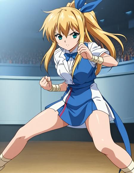 BG fighting stadium版本v1.0 (ID: 1228260)