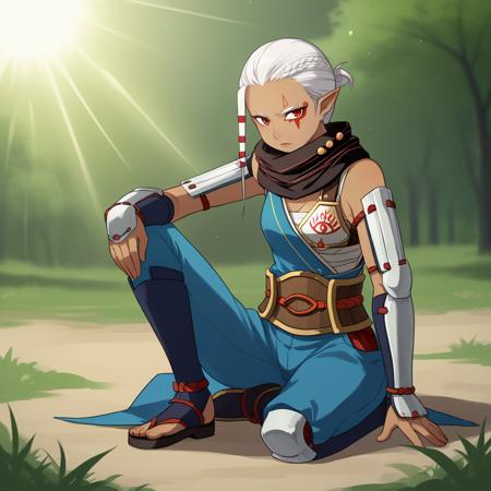 Impa - Hyrule Warriors