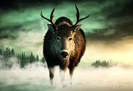 The Long Dark - Lora
