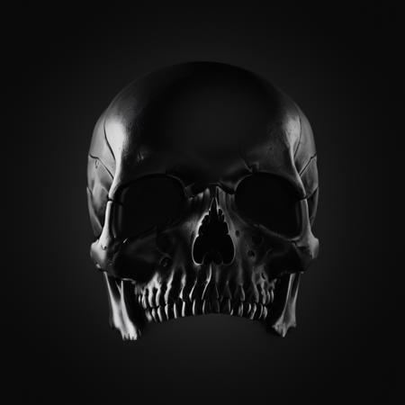Vantablack (Dark Matte black) style XL + F1D