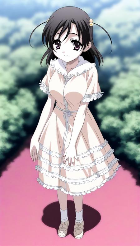 katsura_kokoro (school_days) XL Illustrious LORA