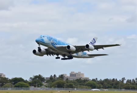 A380 Flying Honu / A380 フライング・ホヌ