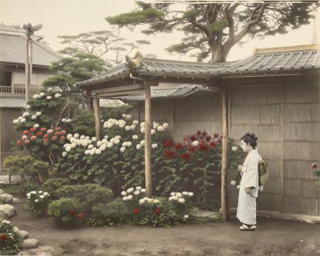 Tamamura's art, hand-colored in the chicken albumen paper style.