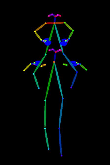 [OpenPose] Carrying person