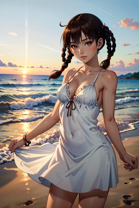 Lei Fang from Dead or Alive