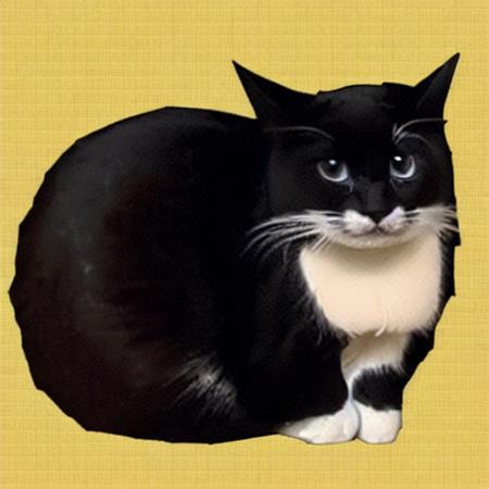 Maxwell the Cat