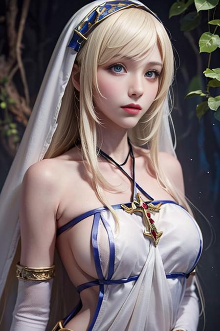 剑之圣女 sword maiden