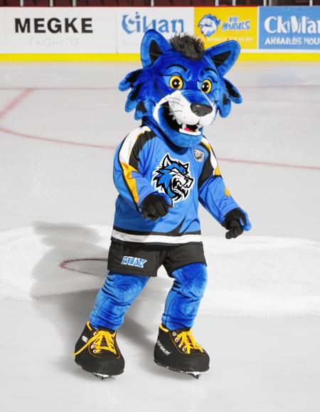 Sports Mascots