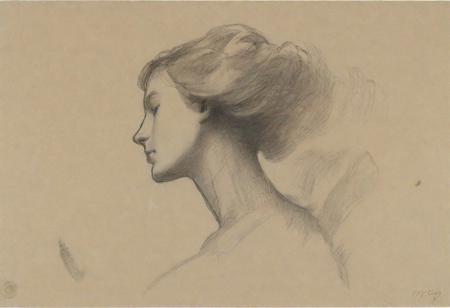sketch