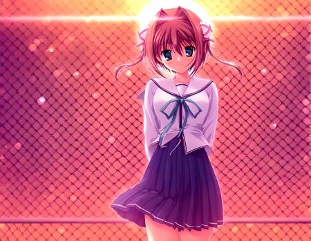 asakura yume/朝倉由夢（D.C.Ⅱ）