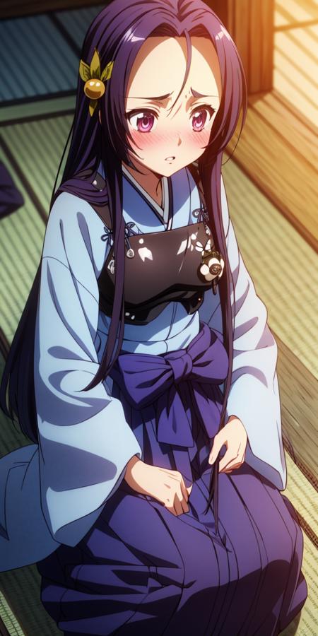 Akechi Mitsuhide / 明智光秀 / Oda Nobuna no yabou / 織田信奈の野望