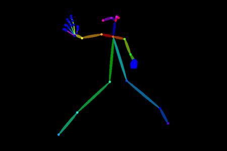OpenPose, Martial arts