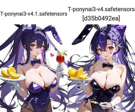 T-ponynai3