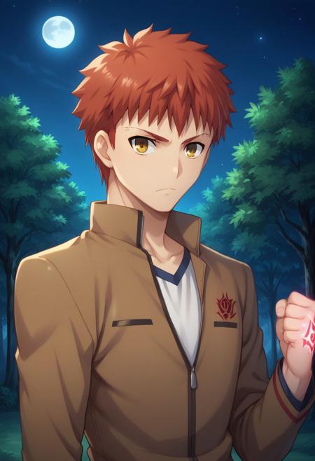 Shirou Emiya - Fate/Stay Night (Commission)版本V1 (ID: 723131)