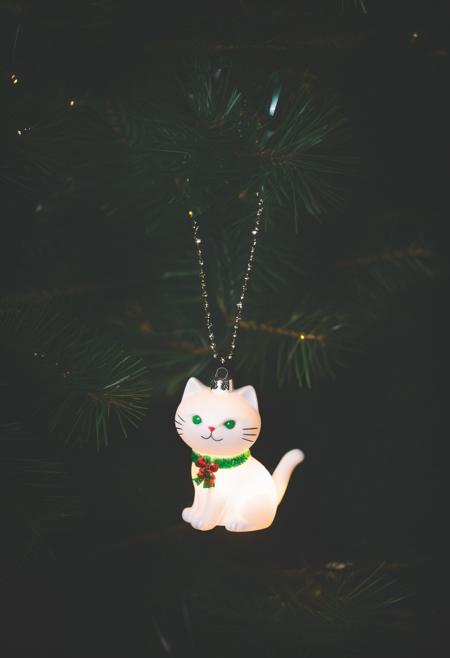 Christmas Tree Close Up - [Concept] - SDXL