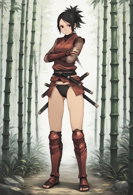 Ayame (Tenchu) XL [Pony + Illustrious]