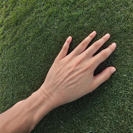 touch the grass
