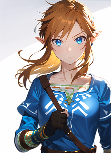 Link (Blue Tunic - Breath of the Wild) LoRA