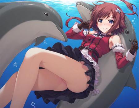 Dolphin 海豚 XL