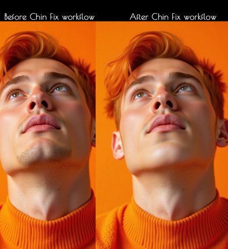 Automatic Chin Fixer workflow