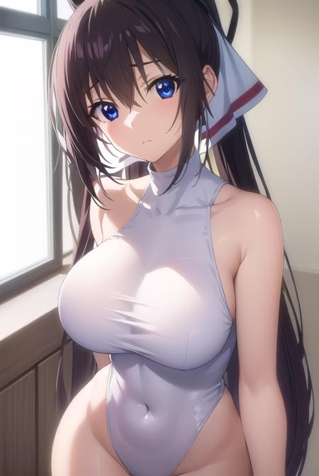 Houki Shinonono (篠ノ之 箒) - Infinite Stratos (IS 〈インフィニット・ストラトス〉)
