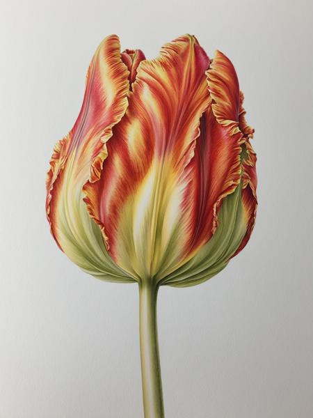 XL Flower Style by Ingrid Elias