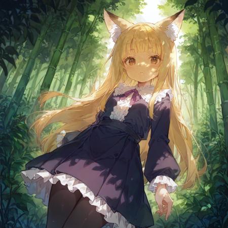 Sunlight in the forest