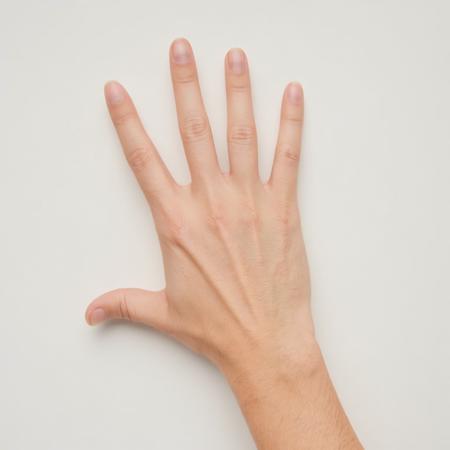 FluxHands (Final Bonus)