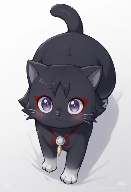 wanderer cat