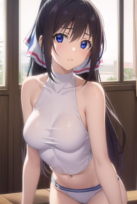 Houki Shinonono (篠ノ之 箒) - Infinite Stratos (IS 〈インフィニット・ストラトス〉)