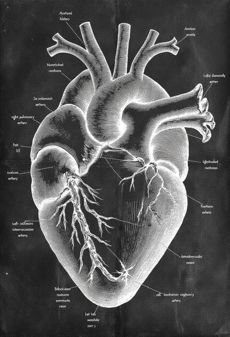 Anatomica: Chalk