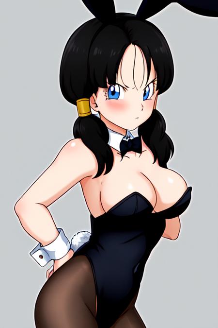 Videl (Dragon Ball Z) Lora