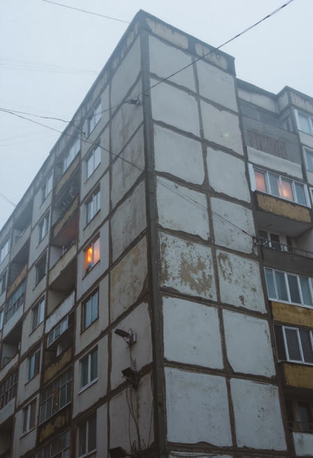 Panelki