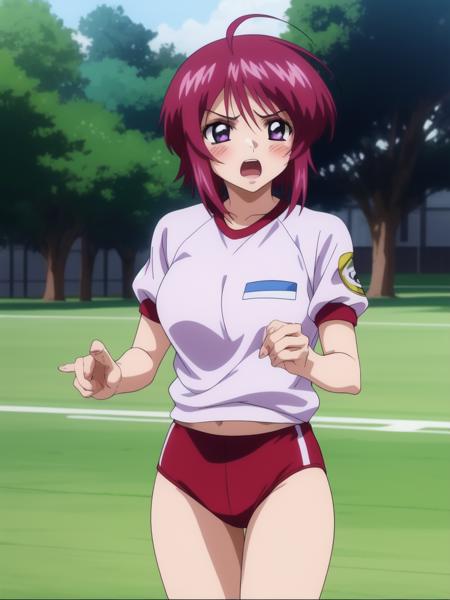 ルナマリア_ホーク　Lunamaria_Hawke (gundam seed)