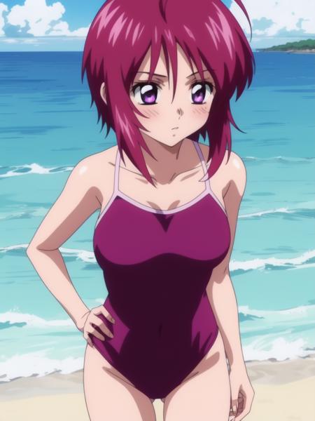 ルナマリア_ホーク　Lunamaria_Hawke (gundam seed)