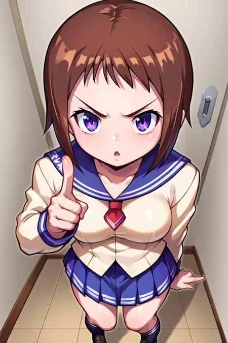 Ui Wakana/若菜 羽衣 (Okusama ga Seito Kaichou!) SDXL LoRA [Pony Diffusion]