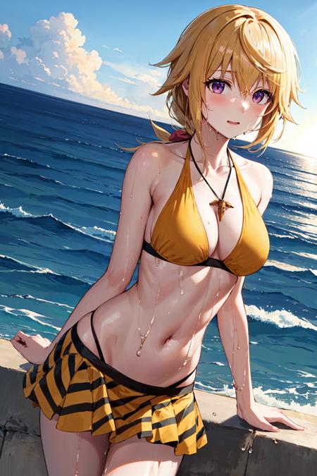 Charlotte Dunois シャルロット・デュノア / Infinite Stratos