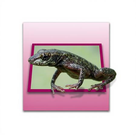 Breaking The Frame [Concept]