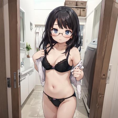 日本の住宅の洗面所 Washrooms in Japanese Houses SD15